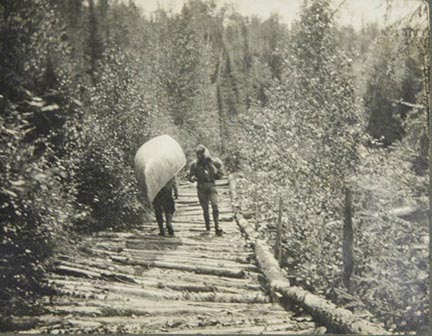 The Old Corduroy Road Still Runs Quietly Through The Woods Of Alabama