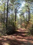The Federal Road was the state of Alabama’s first interstate – Do you know where it was? [map and picture]title=