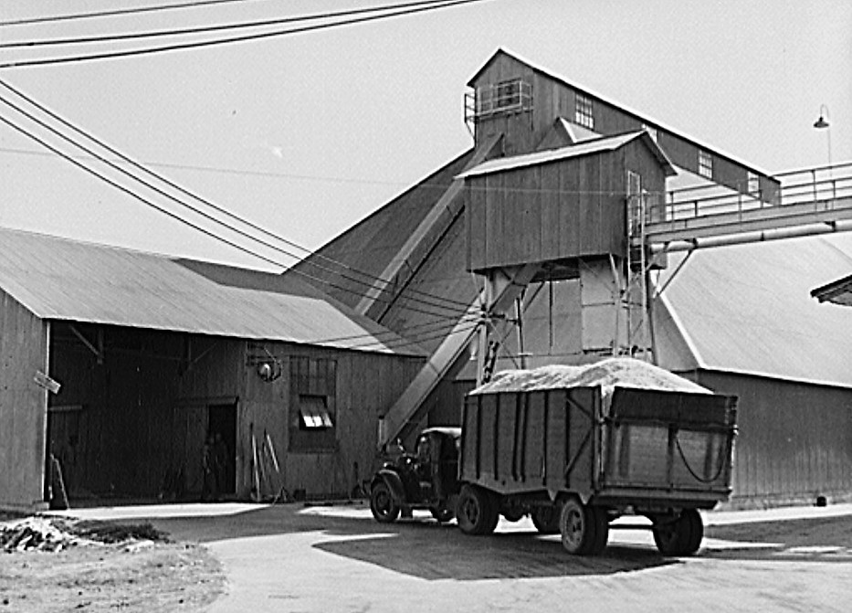 In a cottonseed oil plant, every part of the cotton was used in 1939