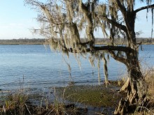 PATRON – Touring Alabama in 1820, 1821 – Part IV Letters written home by Adam Hodgson