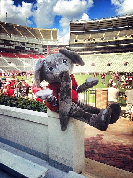 AUTHOR SUNDAY – The day the Birmingham police helped the University of Alabama football mascot retrieve his paws