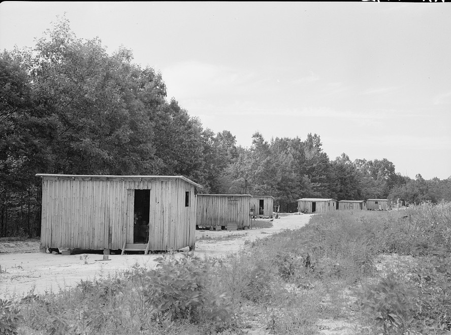 Skyline Farms - the temporary homes