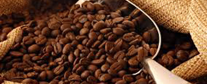 PATRON + RECIPE WEDNESDAY - Oatmeal Coffee? I wonder if Starbucks has tried it?