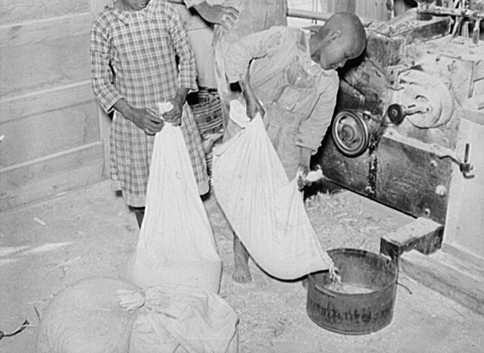 1939 Boy pouring his corn for grinding into meal at cooperative grist mill. Gee's Bend, Alabama