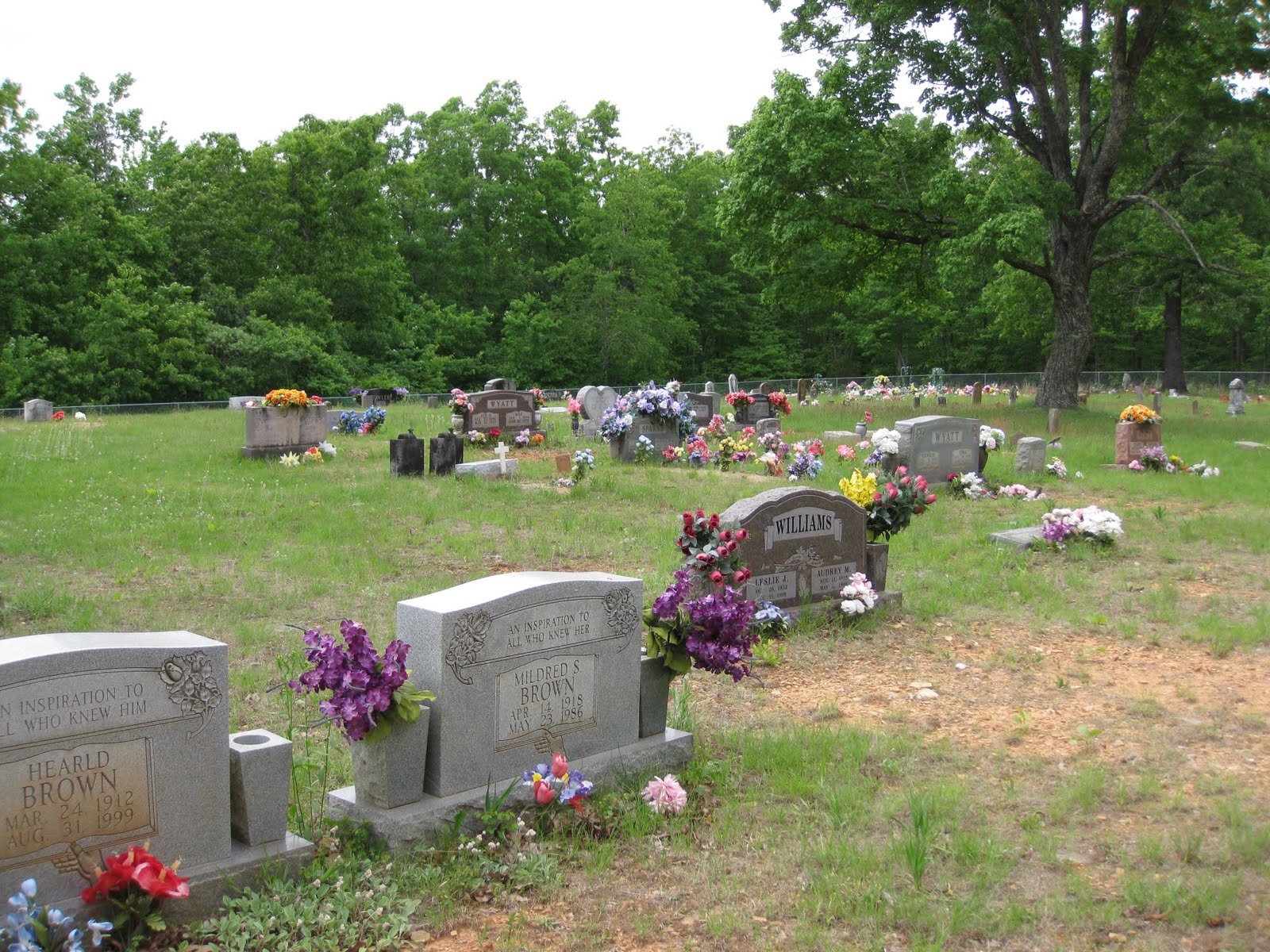 PATRON+ TOMBSTONE TUESDAY: Women of the past had large families as can be see by these tombstones