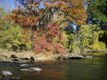 PATRON + An old Native American legend from Coosa, Alabama about where they came from