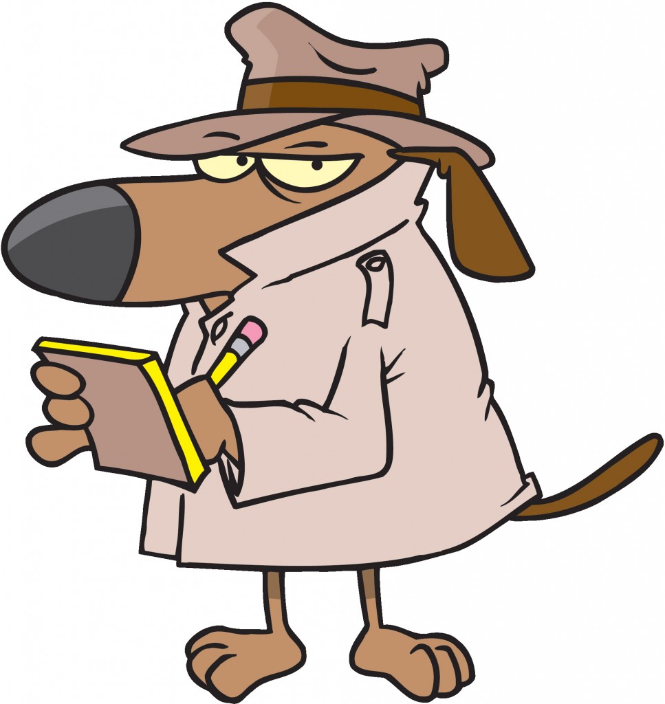 news reporter