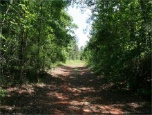 “Indian Trails and Early Roads in Alabama” – story written in 1900