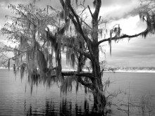 PATRON + The great city Josiah Blakeley envisioned is now a ghost town in Alabama