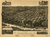 PATRON – List of Names of the Sons of Tuscaloosa County Alabama who represented and occupied the Gubernatorial prior to 1899.