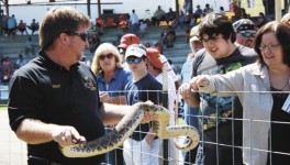 PATRON + Does Opp, Alabama still have a yearly rattlesnake rodeo?