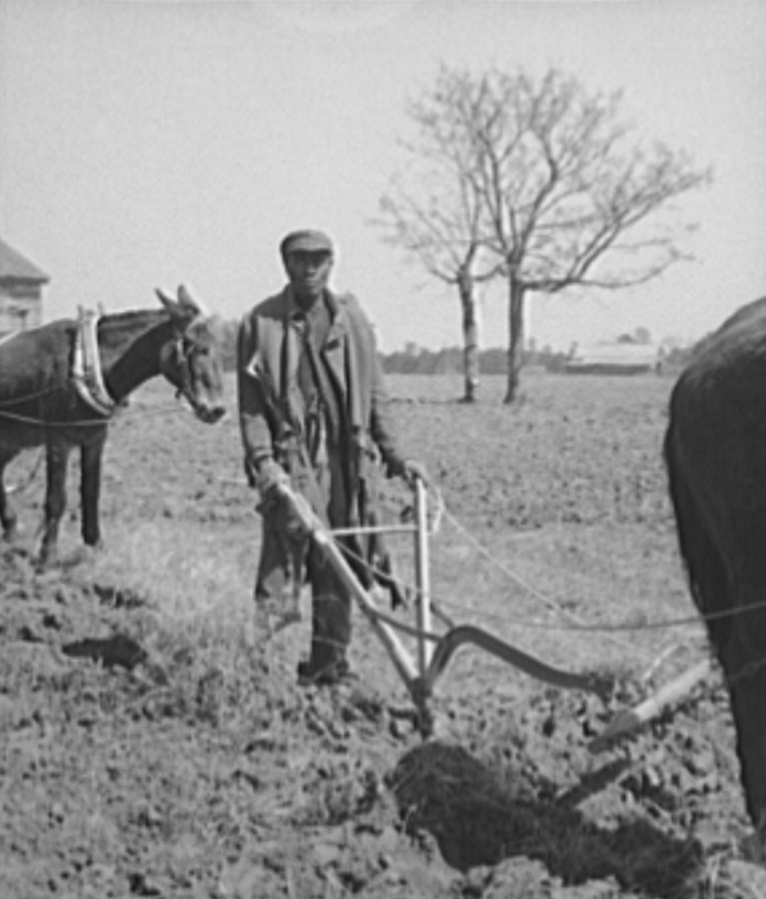 Sharecropper plowing. Montgomery County, Alabama 1937 Arthur Rothstein