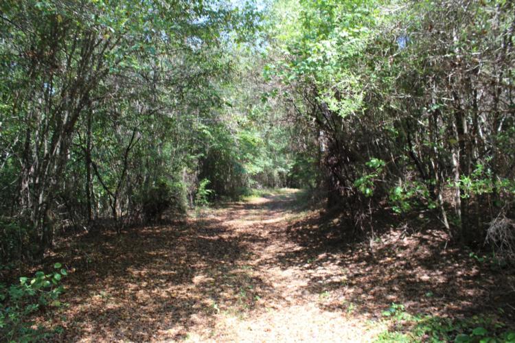 autauga county land