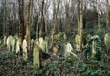 AUTHOR SUNDAY: Old Cemeteries are often hidden in the forests – You can help find them