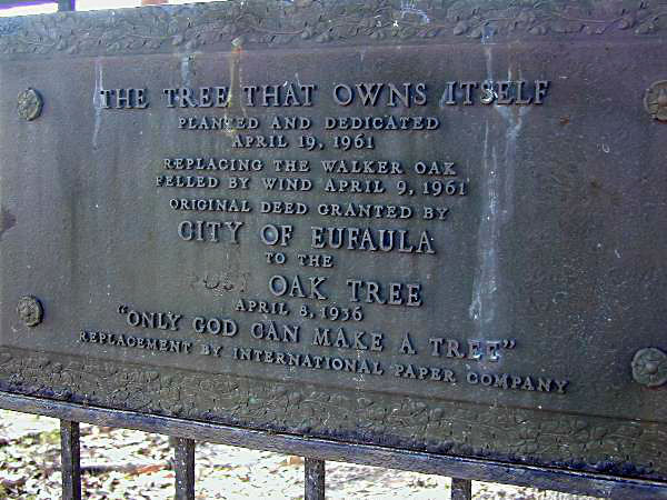 tree plaque