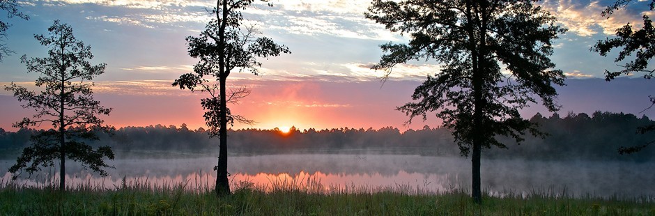 The early immigrants of Clarke, Washington and Baldwin counties in Alabama arrived as early as 1745 from SC and Georgia