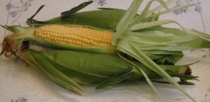 i-corn-yellow