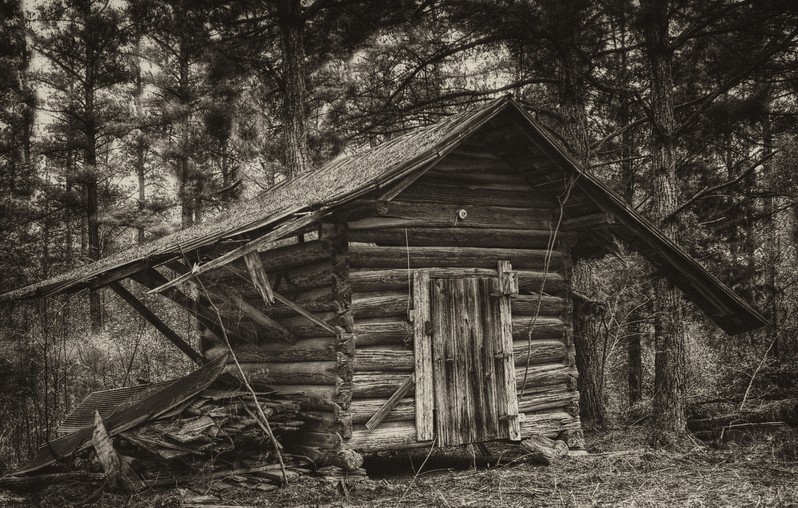 PATRON + Diary Of Traveling To Alabama In Early 1800s – Part I