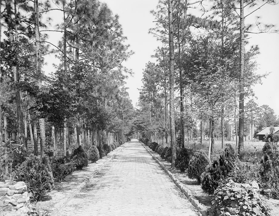 Avenue to grotto, Spring Hill College, Mobile, Alabama -ca. 1900 - Detroit Publishing Company