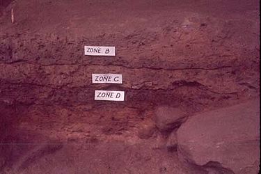 Stratigraphic zones exposed during excavation at Stanfield-Worley Bluff Shelter