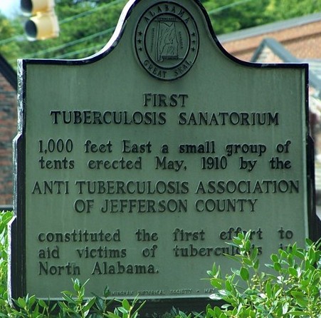 first tuberculosis sanitorium2