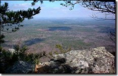 PATRON - The highest point in the State of Alabama is in Cleburne County, Alabama