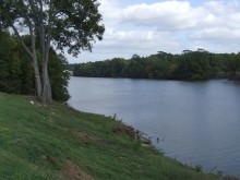 On May 28, 1874 -The hanging epidemic was in the air in Pickens County, Alabama