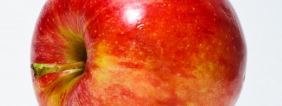 PATRON + RECIPE WEDNESDAY: Apple Custard from the 1890s