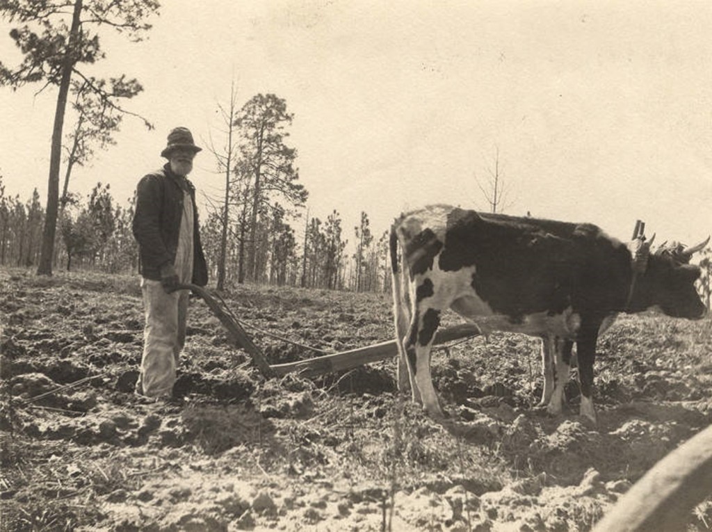 African American man plowing a field in Crawford, Alabama Q5588