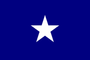 Bonnie Blue flag