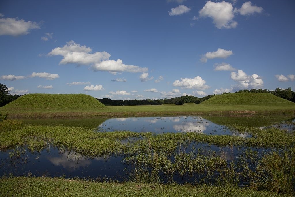 Moundville3, 2010 by Carolyn Highsmith