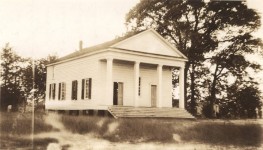 North Carolina woman had to take her rose bush with her to Alabama [pictures]