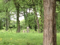 Oldest cemetery in Madison County is disappearing in the woods and needs your help to preserve it
