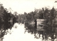 Magnolia Springs, Alabama has had delivery of mail by water for one hundred years