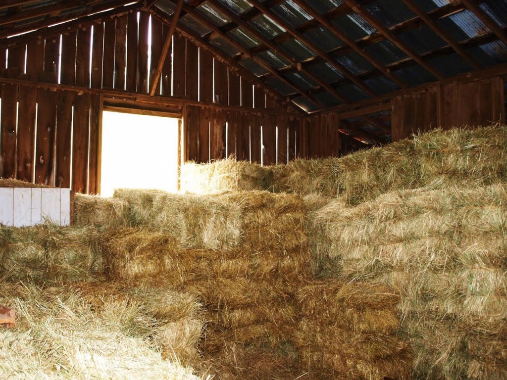 Hay barn (triplethreattriathlon)