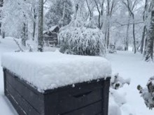 PATRON + MONDAY MUSINGS- Rules for a snow event in the South
