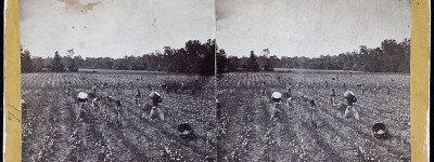 PATRON + Anne Royall described a cotton plantation in Alabama in 1818