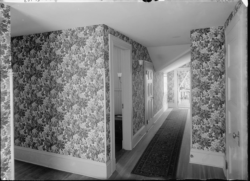 SATURDAY SECRETS –  Have you ever tried to remove wallpaper from an old house? This is the paste that may have been used