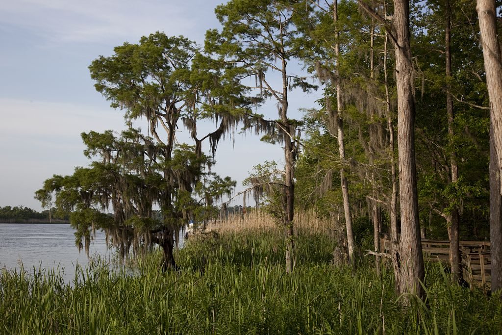 blakeley-state-park-2010-highsmith