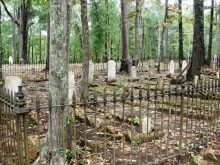 These transcriptions of tombstones in two old cemeteries located in Tuscaloosa reveal some early pioneers relations