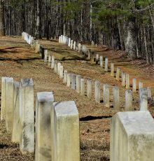 PATRON – April 16, 1866, a committee was formed to retrieve the dead after the Civil War