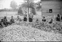 PATRON + Quilting and Corn-shucking in Alabama in 1936 was often time for a party