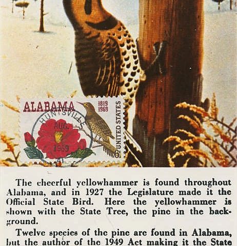 PATRON + Which day is the official bird day in Alabama?