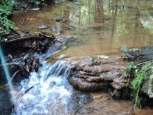 PATRON + The McIntosh Trail was the only road in Randolph County when it was first established