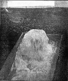 PATRON – One of largest artesian wells in the world was near Greensboro, Alabama