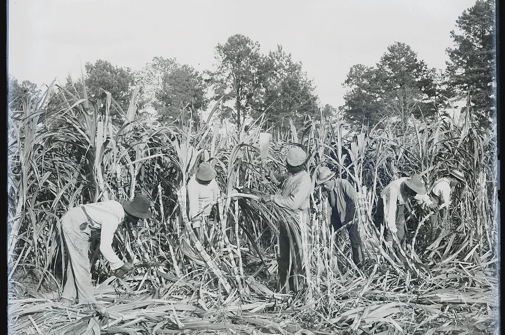 PATRON + First ribbon cane molasses, cherted road and cotton mill were started by these men in Greensboro, Alabama