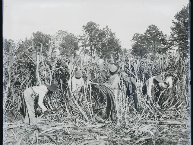 PATRON + First ribbon cane molasses, cherted road and cotton mill were started by these men in Greensboro, Alabama