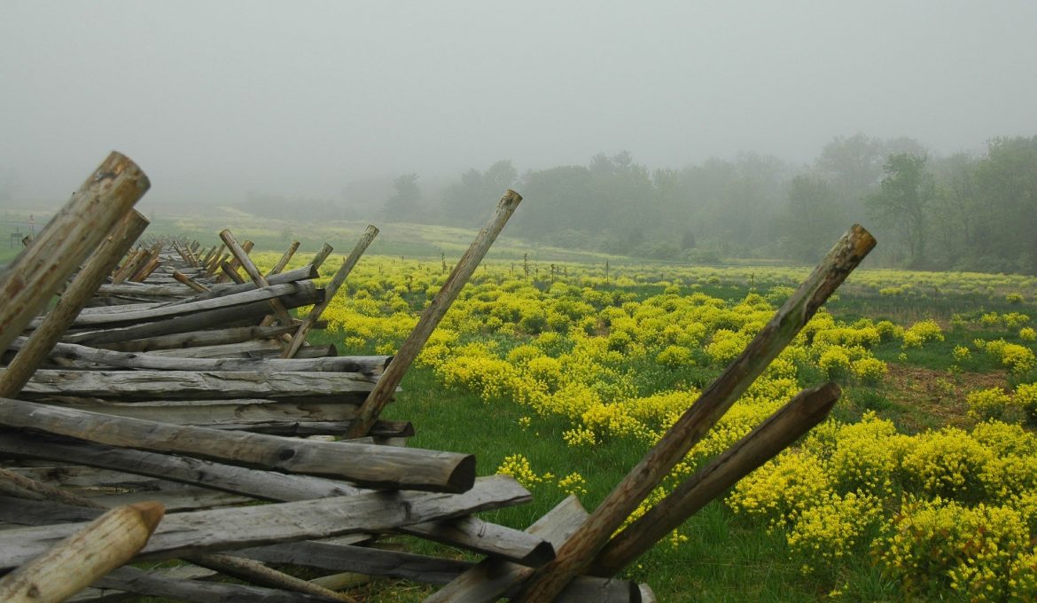 PATRON + True story about life during the Civil War in Dale County, Alabama