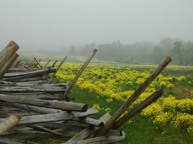 PATRON + True story about life during the Civil War in Dale County, Alabama