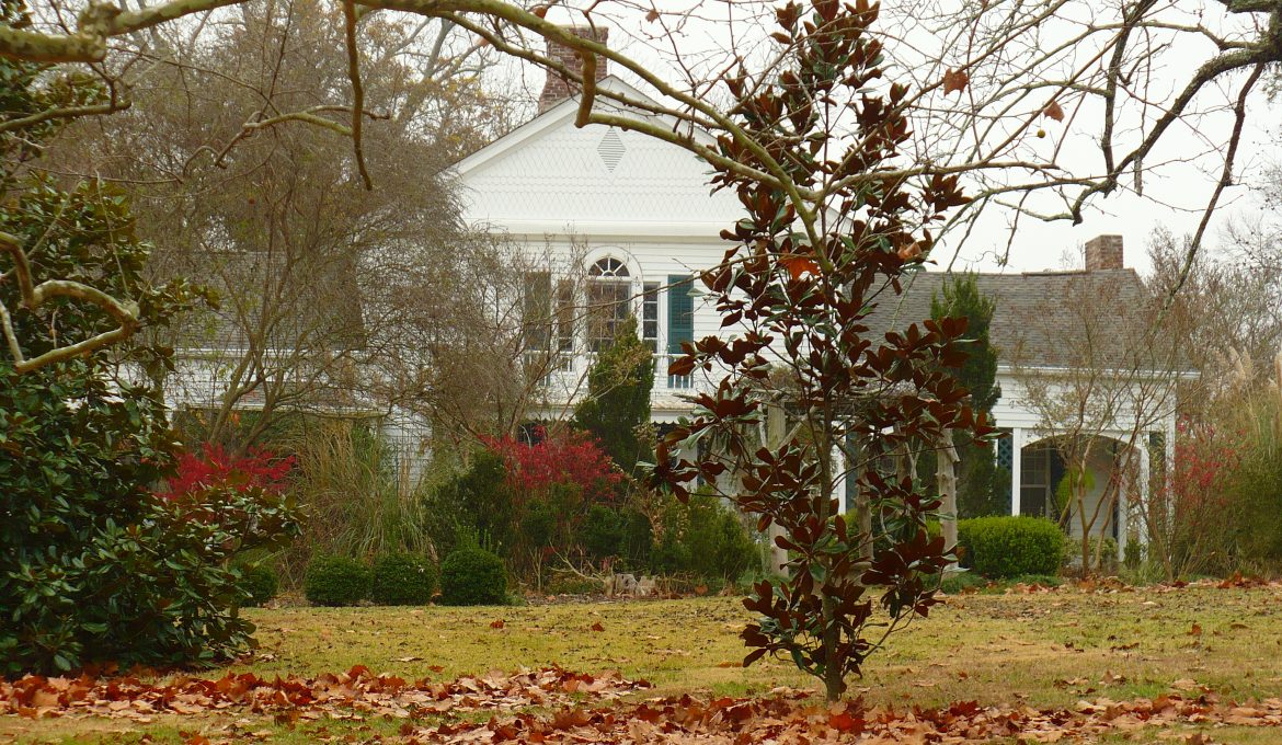 PATRON – There were many historic Plantations near Faunsdale, Marengo County, Alabama